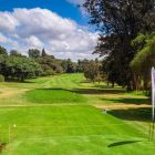 Parklands, Nairobi: The Cultural Mosaic of Heritage and Modernity