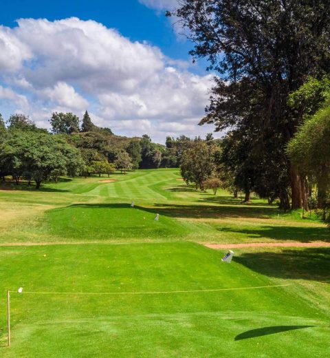 Parklands, Nairobi: The Cultural Mosaic of Heritage and Modernity